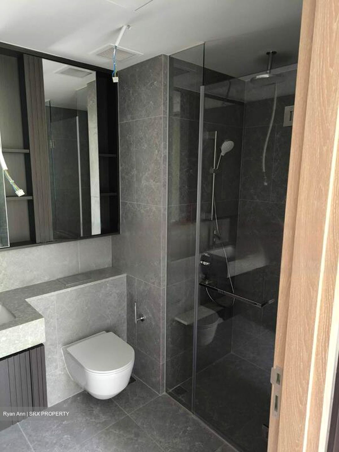 KI Residences at Brookvale (D21), Condominium #472874331